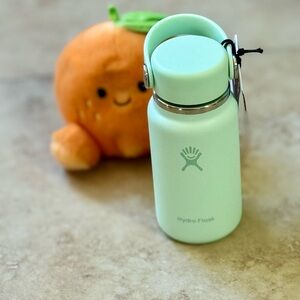 Hydro Flask Micro Mini Water Bottle Aloe 200 mL 6.6 oz